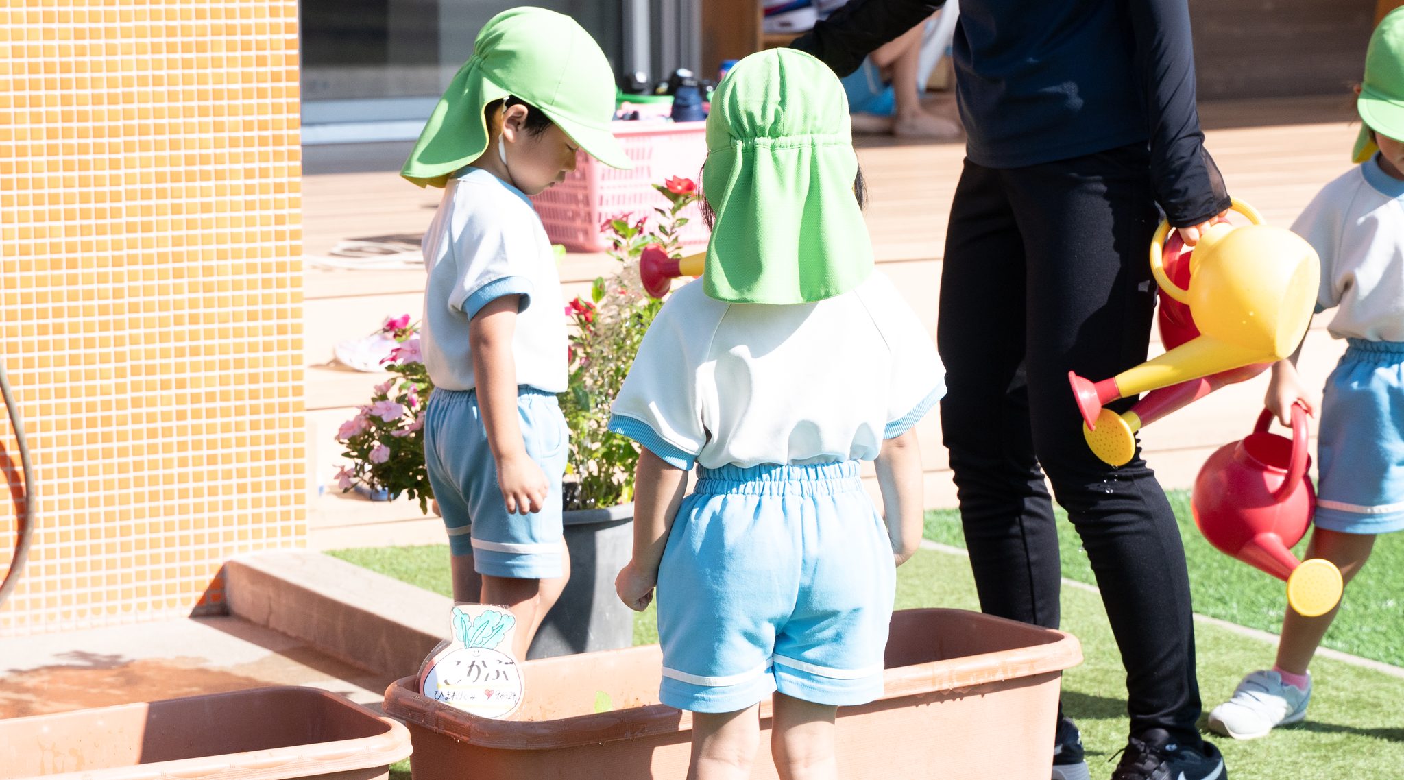 先生と一緒にプランターに水をやる子どもたち