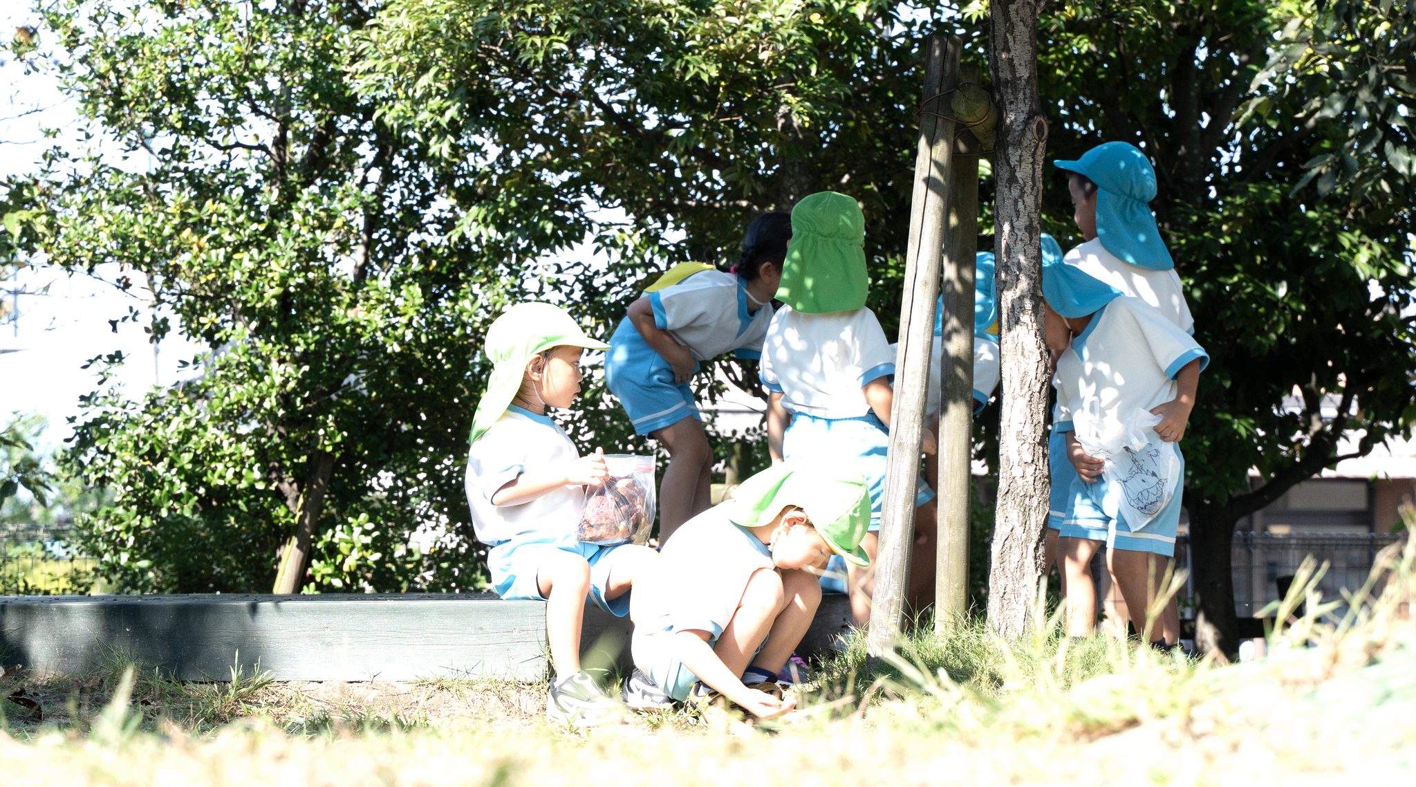木陰に集まって遊ぶ子どもたち