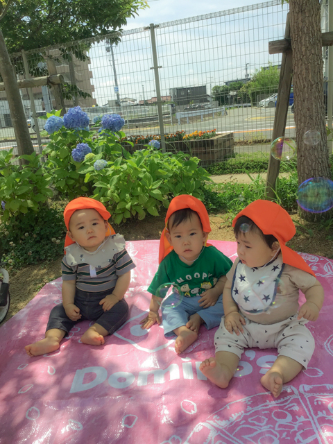 アジサイの前のシートに座る子どもたち